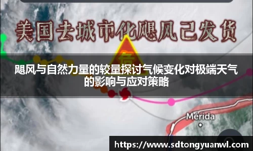 NG体育首页
