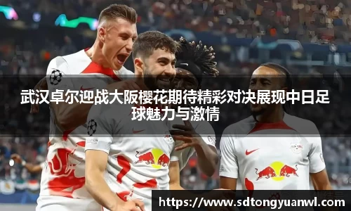 NG体育平台