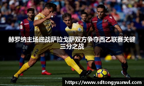 NG体育官方网站